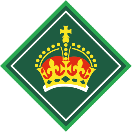 King Scout Award